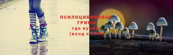 марки lsd Белокуриха