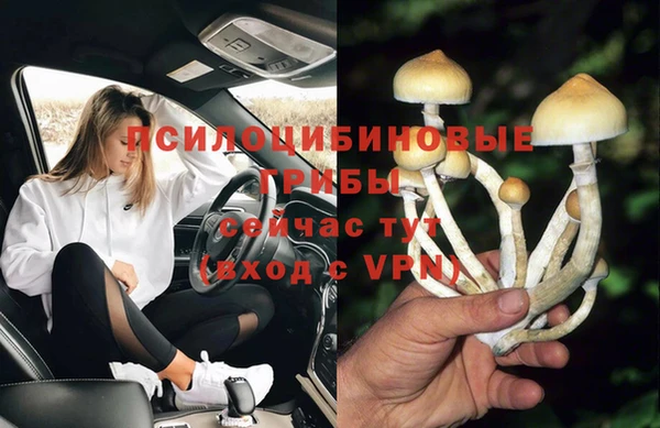 хмурый Белоозёрский