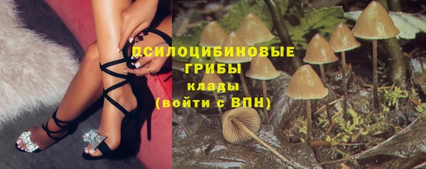 марки lsd Белокуриха