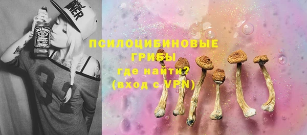 марки lsd Белокуриха