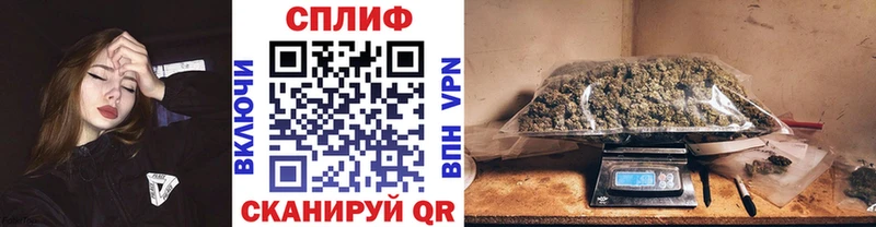 Бошки Шишки Amnesia  Павловск 